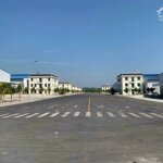 Cần cho thuê 25.000m2 đất khu công nghiệp tam hiệp, núi thành, quảng nam.