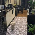 Bán căn hộ 1 phòng ngủ46m2 - giá chốt chỉ 1tỷ980 bao phí - cam kết rẻ nhất thị trường - em hưng 0813156565