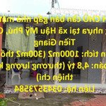 Chính chủ cần bán gấp nhà mặt tiền đường nhựa tại xã hậu mỹ phú, cái bè, tiền giang