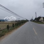 Cần bán 10.000m2 đất tmdv 50 năm tại mặt đường huyện ninh giang, tỉnh hải dương
