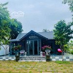 1homestay 3sào đẹp mộng mơ thuộc tp bmt,cách tt chỉ13kmgiá chỉ7ty50