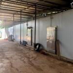 Cho thuê kho cấp đông _45 độ tổng 2000m2