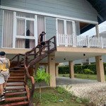 Biệt thự resort bangkot bình châu 10 triệu/1tg nguyên căn