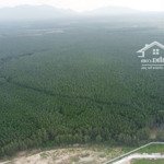 200ha tân thắng hàm tân cách biển chỉ 15p chạy xe giá 2.5 tỷ/ha