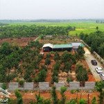 Bán nhà vườn view ruộng xã hoà khánh tp bmt