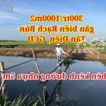 300 triệu có 1000m2 đất gần biển rạch bùn