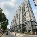 Cần bán căn góc 105m2 & 149m2 chung cư amber riverside 622 minh khai - hbt - hn giá từ 5.2tỷ