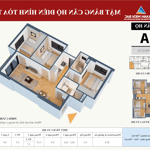 Bán căn hộ chung cư dự án luxcity phường cẩm bình, thành phố cẩm phả