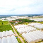 4.9 sào ngay khu farm hòa thắng, mặt tiền 50m, đổ sỏi đến đất giá 830tr