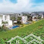 Cơ hội cuối cùng, bán cắt lỗ biệt thự tự xây vườn vua villas & resort 380m2