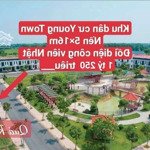 đất sổ đỏ 80m2 thanh lý lỗ 35%, kdc youngtown, đức hòa giáp củ chi.