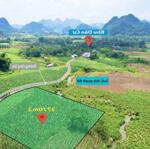 3770m2 đất bám suối đẹp tại kim bôi chỉ 1,5 tỷ