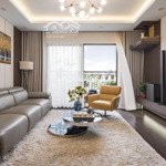 Bán gấp ch chung cư platinum residences - số 6 nguyễn công hoan, 120m2, 3 phòng ngủ giá bán 6.8 tỷ 0975864.664