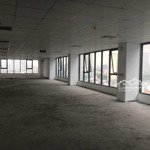 Cho thuê văn phòng tại liễu giai diện tích, 260 m2 view đẹp, giá 250 nghìn/m2