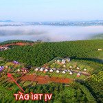 Cần bán gấp lô đất đang vận hành camping tại bảo lộc.diện tích638m2. quy hoạch đất ở. sổ hồng có sẵn