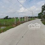 267m2 đất lúa chuyển thổ, 6x 35m, kdc bình trinh, 255 tr