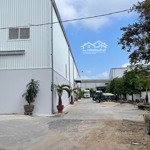 Cần cho thuê 1200m2 kho xưởng sản xuất có pccc tự động nghiệm thu. tại hồng bàng - hải phòng