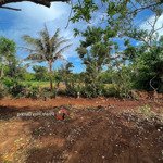 Bán lô đất vườn 23x21 (500m2) sổ hồng riêng, tại đảo phú quý giá bán: 460 triệu, lh: 0933.500.823