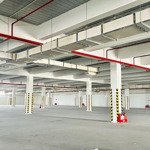 Cho thuê 7920m2 nhà xưởng mới, pccc tự động tại kcn thái bình. liên hệ: 0867 818 838