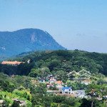 đất view thung lũng thông - khu kinh doanh villa lưu trú, cà phê nổi tiếng đà lạt