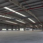 Công ty hoa phượng cho thuê kho, xưởng kcn giang điền, trảng bom, đồng nai(1000m2 đến 50.000m2)