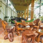 Bán biệt thự sân vườn lê văn lương, nhà bè, 1600m2. ngang 20m x 80m dài. giá bán gấp 65 tỷ