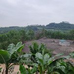 Bán đất phường hà lầm - hạ long, 1.6ha giá bán 4.2 tỷ. liên hệ: 0989898874