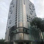 108 tỷ có ngay tòa building vipmặt tiền20x41m vip xây building 14 tầng p.dakao quận 1