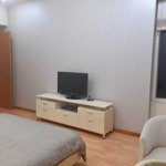 Cho Thuê Căn Hộ Saigon Pearl 2 Phòng Ngủ Giá Tốt