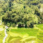 5ha đất phù hợp làm trang trại, farm lý tưởng tại trung thành, đà bắc, hoà bình