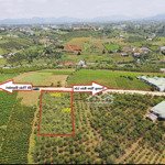 Bán 1.000m2 có 200m2 thổ cư - view cao đẹp ở đường nguyễn thanh ba, đambri