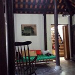 Bán villa sân vườn xã cẩm thanh tp hội an tỉnh quảng nam gần ngay khu du lịch rừng dừa 7 mẫu