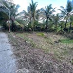 Bán 1700m² đất vườn dừa nhơn thạnh, tp bến tre