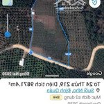 Bán đất 1ha - xã suối nho - huyện định quán - đn
