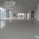 Cần cho thuê gấp vp tòa vtc online phố tam trinh, 100m2, 150m2,... 800m2, giá chỉ 140 nghìn/m2/th