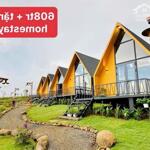 Bán đất trị giá 608tr tặng căn homestay giá 140tr liên hệ chính chủ