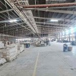Cho thuê xưởng 9800 m giấy tờ đầy đủ tân uyên bd