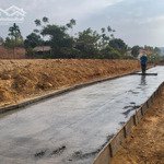 Bán Cắt Lỗ Sâu Hơn 3000M2 Cạnh Kcn Vạn Xuân- Tam Nông-Phú Thọ