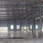 Xưởng trong khu công nghiệp tân bình: 20000m2 pccc pháp lý đủ, người nước ngoài đứng