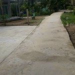 Bán nhà vườn 282m2 có 100m thổ xã an khánh huyện châu thành bến tre