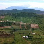 700 triệu/ha gần bắc vịnh vân phong - thị xã ninh hoà
