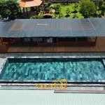 Bán resort tâm huyết củ chi đầy đủ công năng, biệt thự, hồ bơi, ao cá, cây ăn trái. chỉ 4 triệu/m2