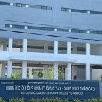 Cần Bán Gấp Nhà Phố Kdc 13E Làng Việt Kiều Phong Phú Giá Rẻ