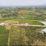 Bán 1.000m có 200m2 thổ cư - view đẹp - ngay khu dân cư - đường xe hơi