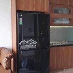 Chính chủ cho thuê căn 2 phòng ngủnội thất siêu xịn tại ecopark hải dương