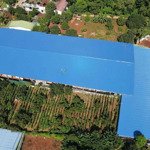 Cho thuê kho sân bãi 4500m2 mặt tiền ql26 kho cực đẹp