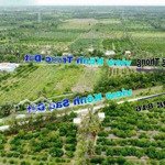 đất 2mt ô tô trước sau 1000m2 thạnh hòa bến lức 1ty4 thương lượng