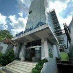 Bán building mặt tiền điện biên phủ