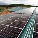 Cần bán dự án năng lượng mặt trời