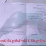 Chính chủ cần bán 2 căn liền kề chợ đầu mối hóc môn . căn kho móng 3 tấm. căn 3 tấm rưỡi nội thất